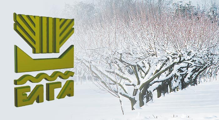 Αποζημιώσεις για κεράσια, κυδώνια και μήλα μέσω ad hoc Κρατικών Ενισχύσεων